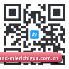 iOS 防封体系版 二维码